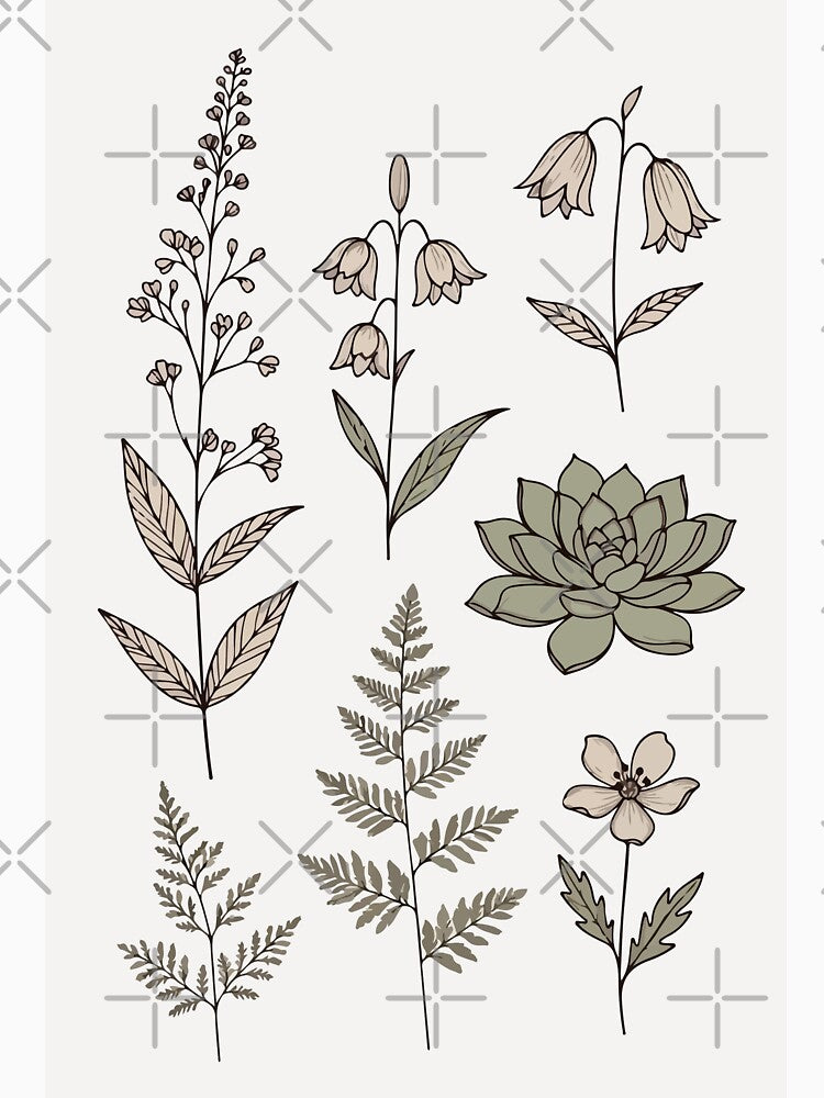 Minimalist Botanical Line Art Wildflowers & Ferns by stylishdzign