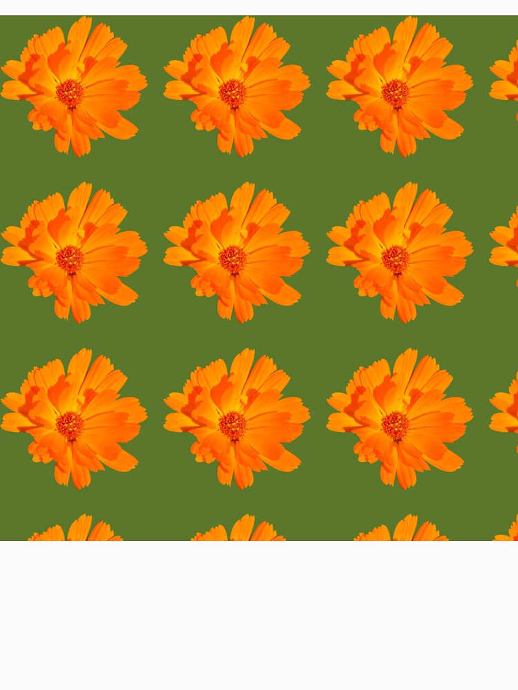 Orange flower on green background by happytraveller1