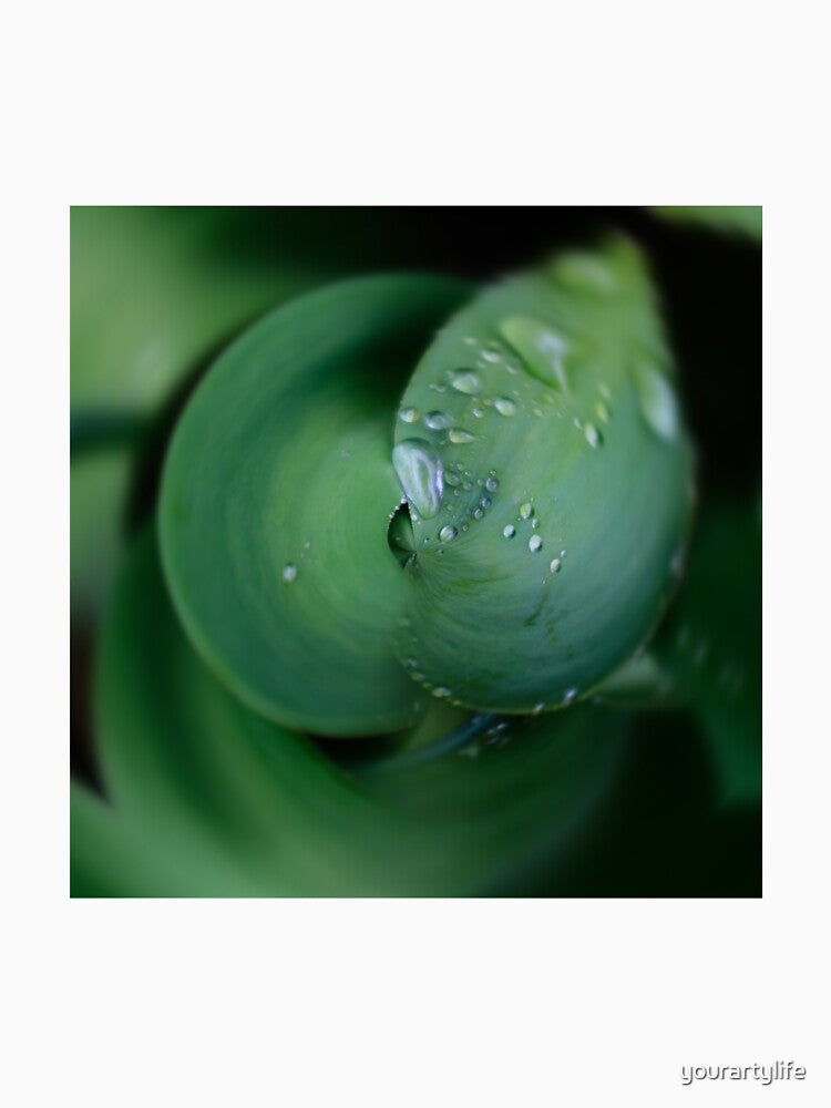 Tulip leaf abstract spiral by yourartylife