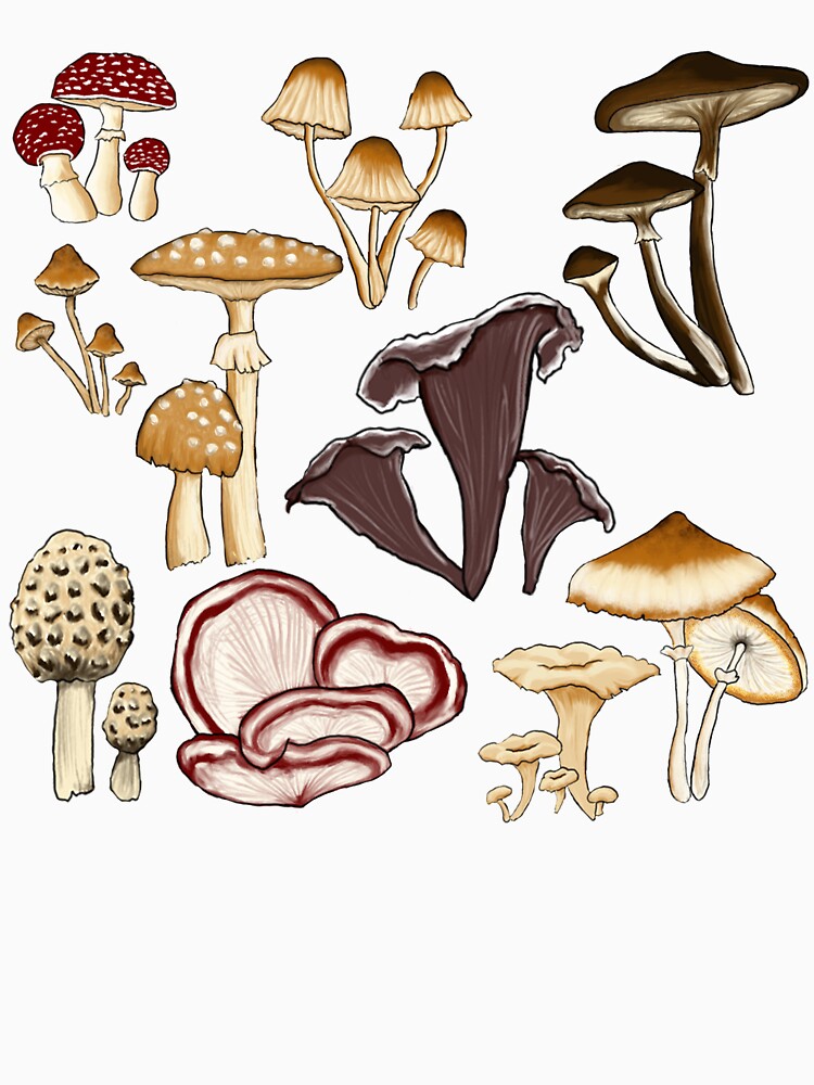 Forest Mushrooms by ADHDCrafter