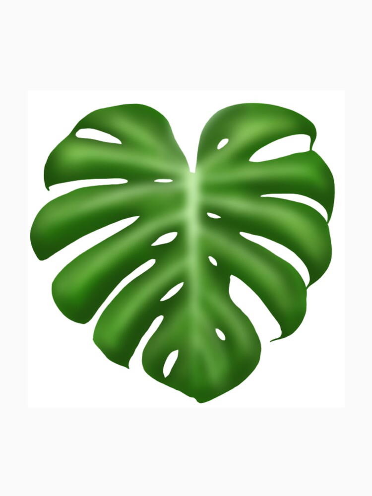 monstera by unay27