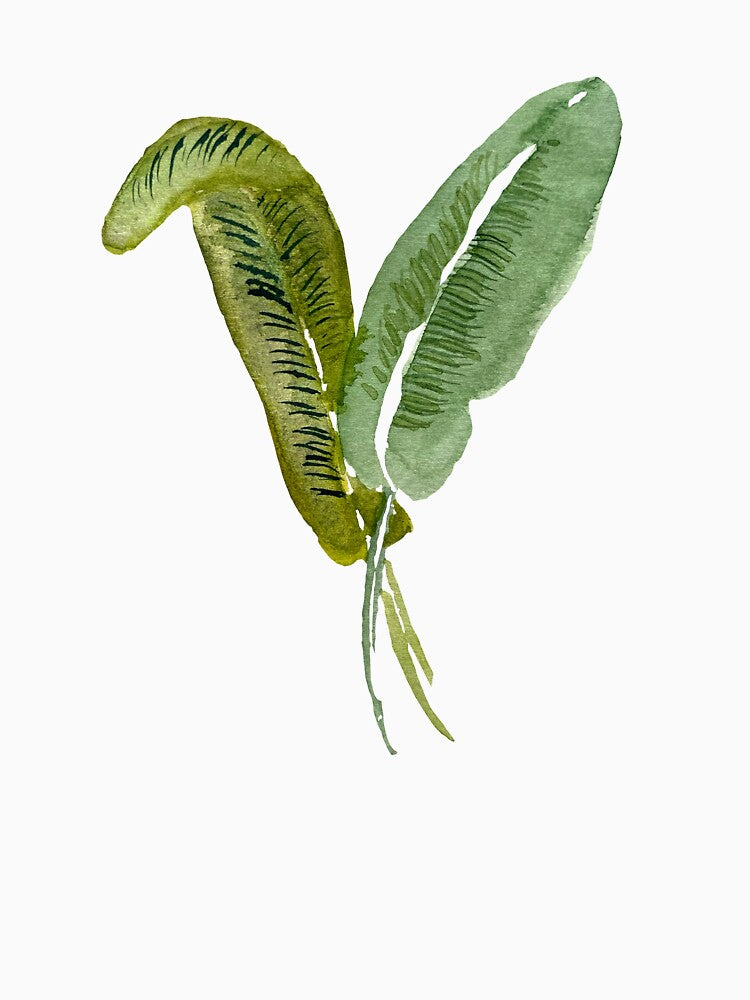 Palm leaf watercolor illustration single object by Yana Mustafina | Boho Soulful Designs