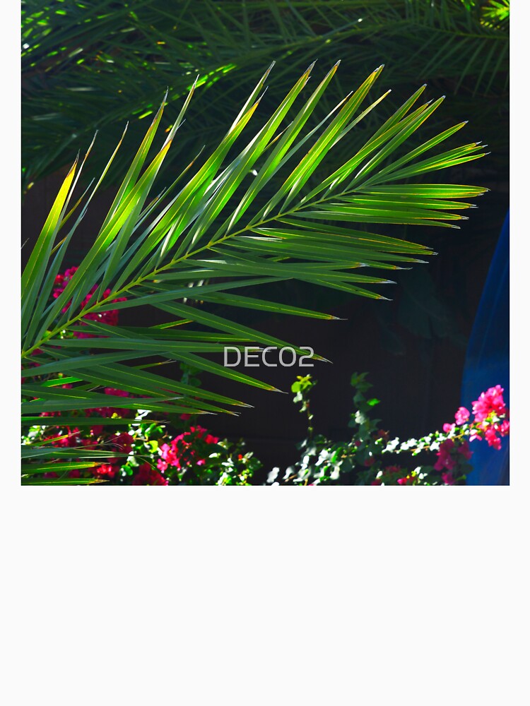 Exquisite Palm Leaf Framed In Lush Shadows by DEC02