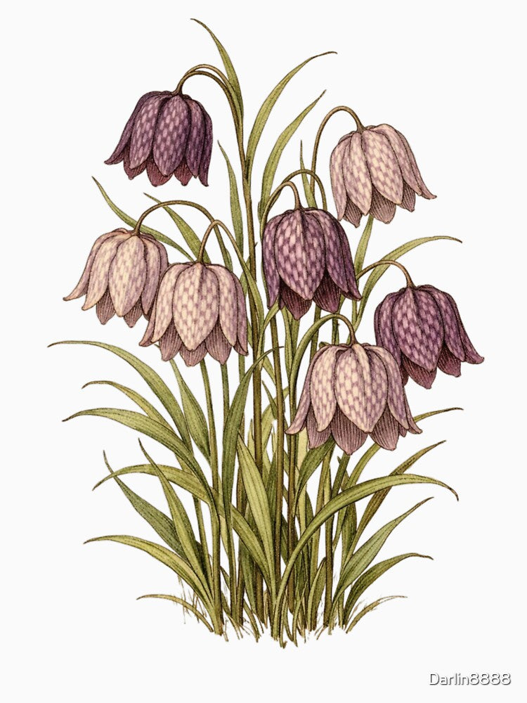 Vintage Fritillaria Botanical Illustration - Fritillary Antique Print by Darlin8888