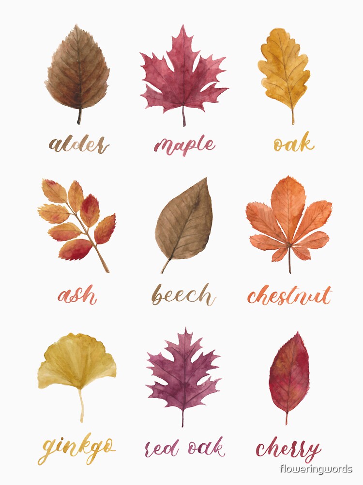 Fall Leaves Chart Watercolour Painting & Calligraphy by floweringwords