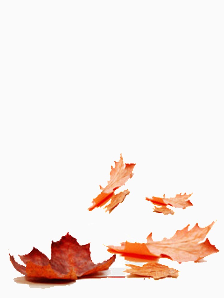 Leaf by Debajit Kro