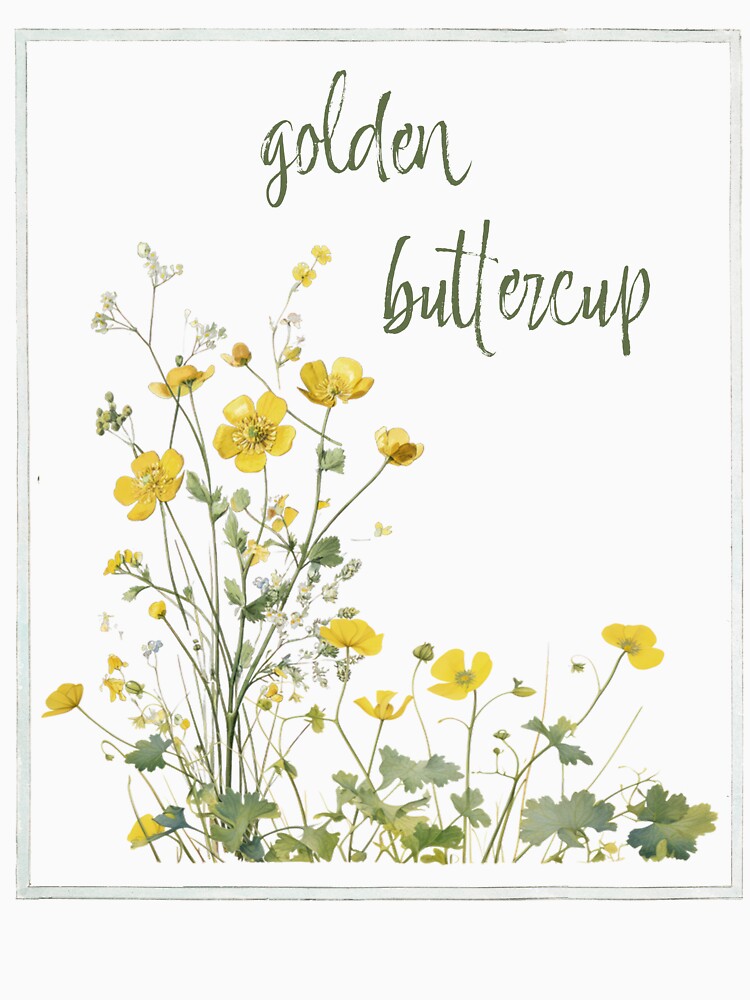 Golden Buttercup Vintage Botanical Flower Illustration by AggyCreatif