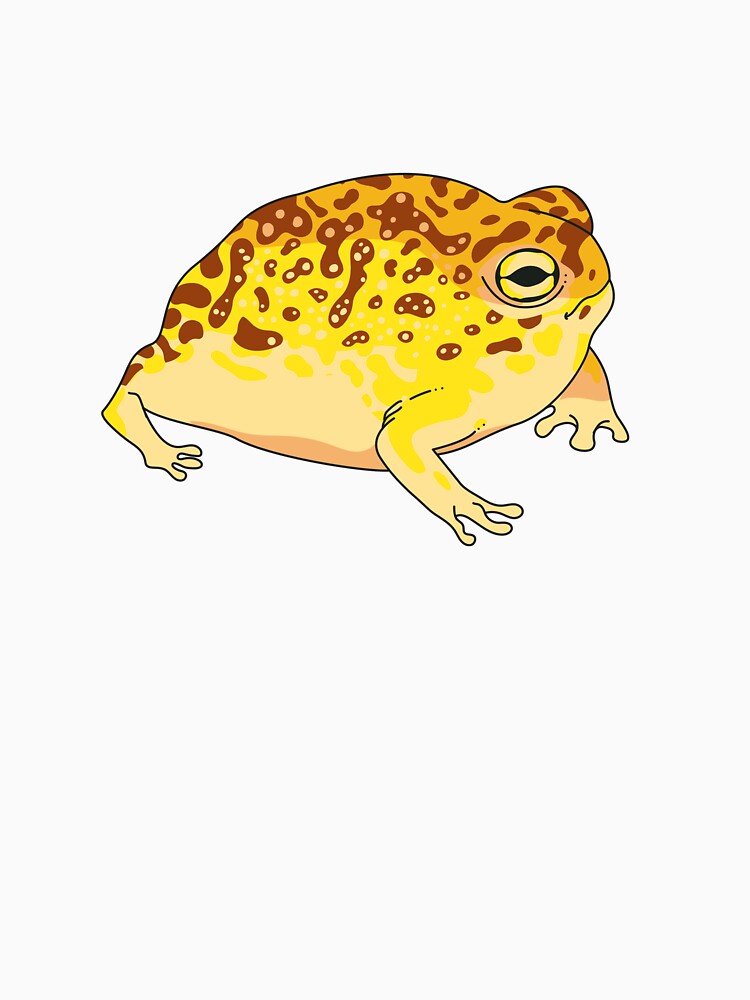 Desert Rain Frog by Echo Aesthetics