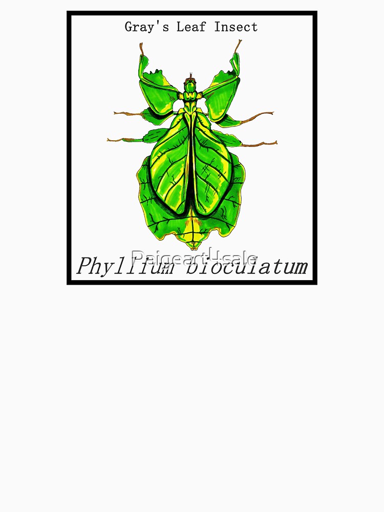 Walking Leaf Labeled by Paigeart4sale