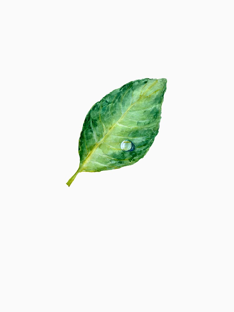Green leaf single object a watercolor illustration by Yana Mustafina | Boho Soulful Designs