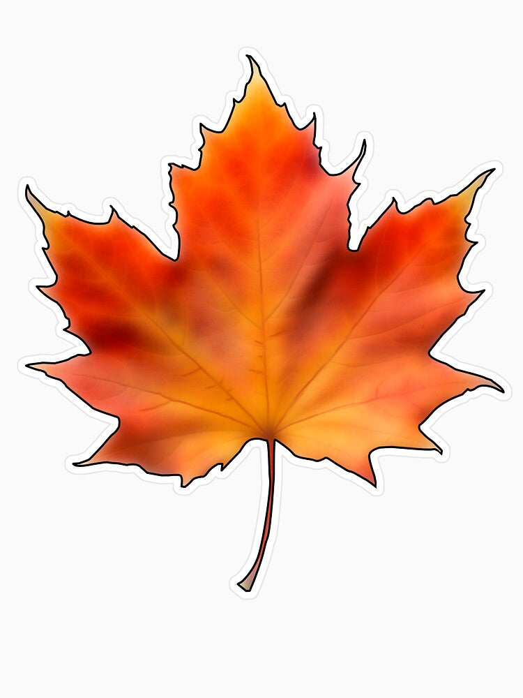 Maple leaf by Sal-Solfrizzo