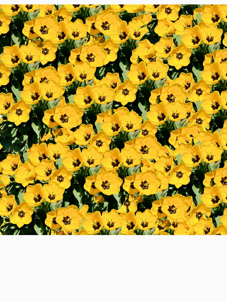Yellow tulip flower print by happytraveller1
