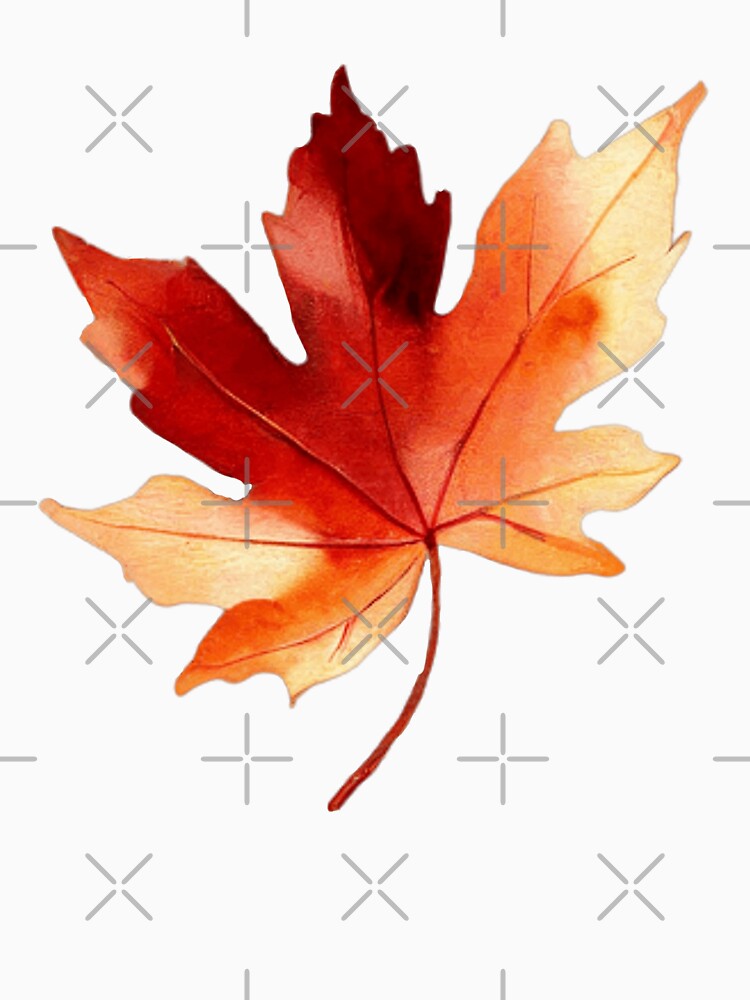 Autumn Leaf Illustration – Red and Orange Fall Foliage by Floraphoria