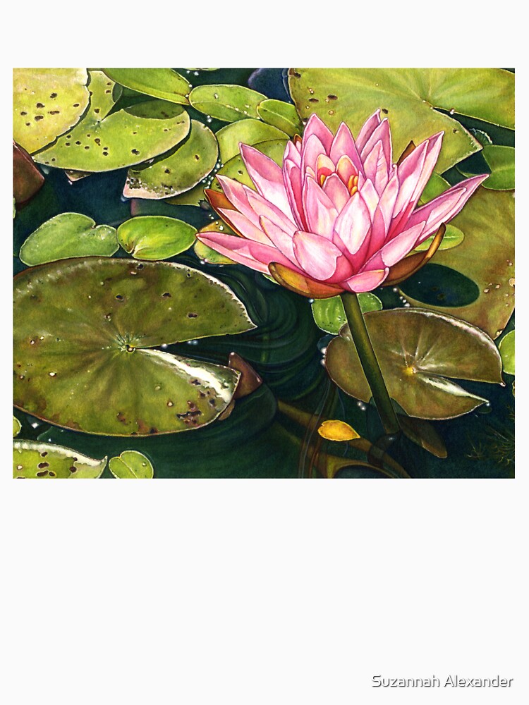 Water Lily at the Biltmore Gardens by Suzannah Alexander