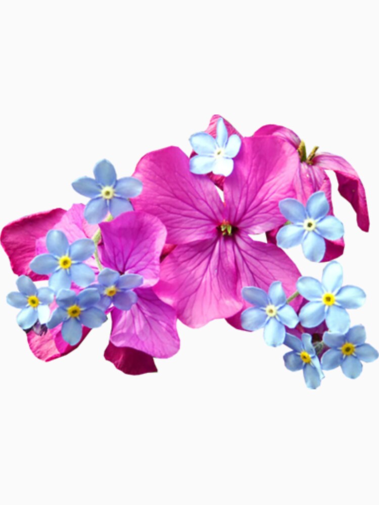 Purple And Blue Floral Designs by cindyfordyce