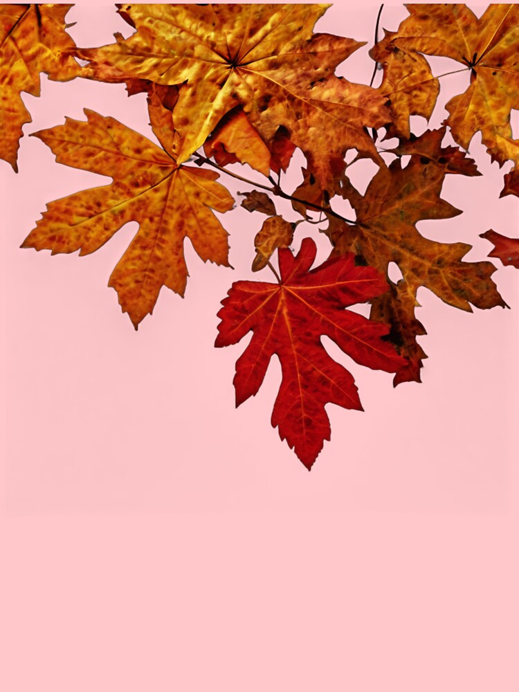 Leaf 41 by Zeir Shop