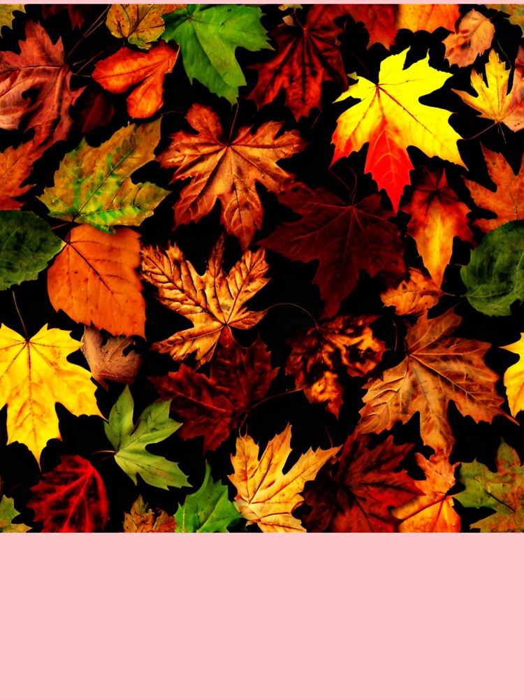 Leaf 45 by Zeir Shop