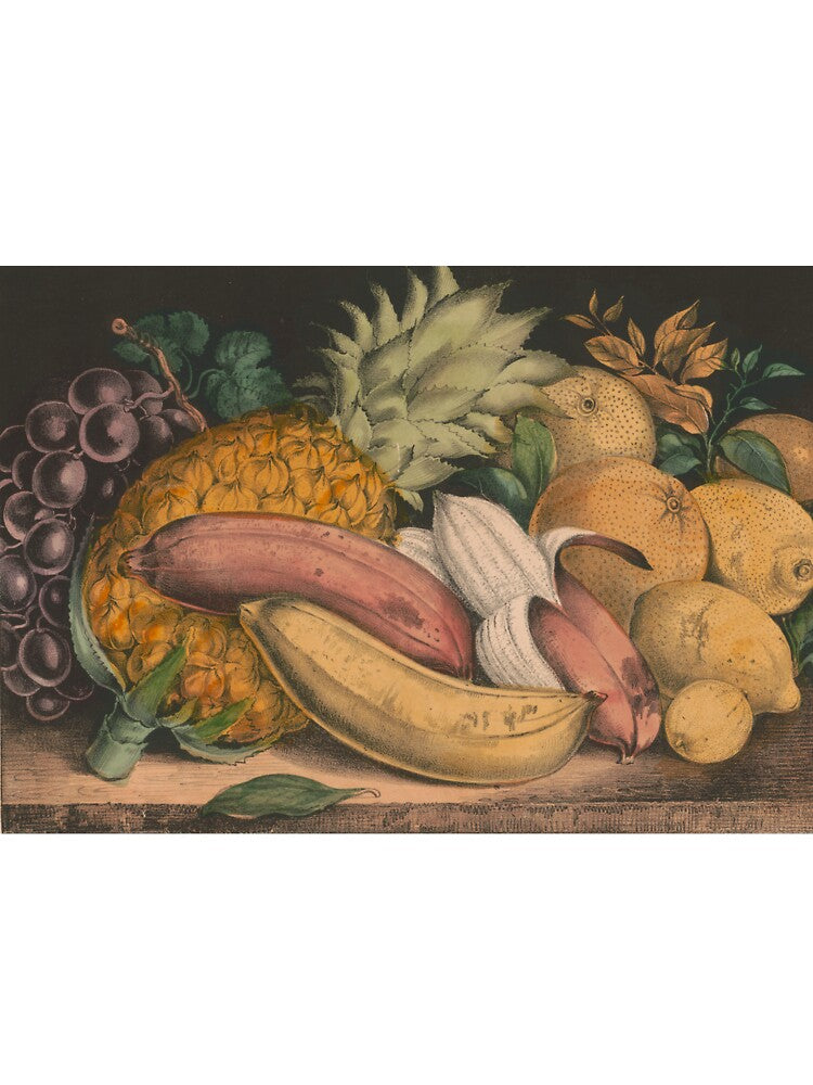 Vintage Illustration of Tropical Fruits (1871) by BravuraMedia