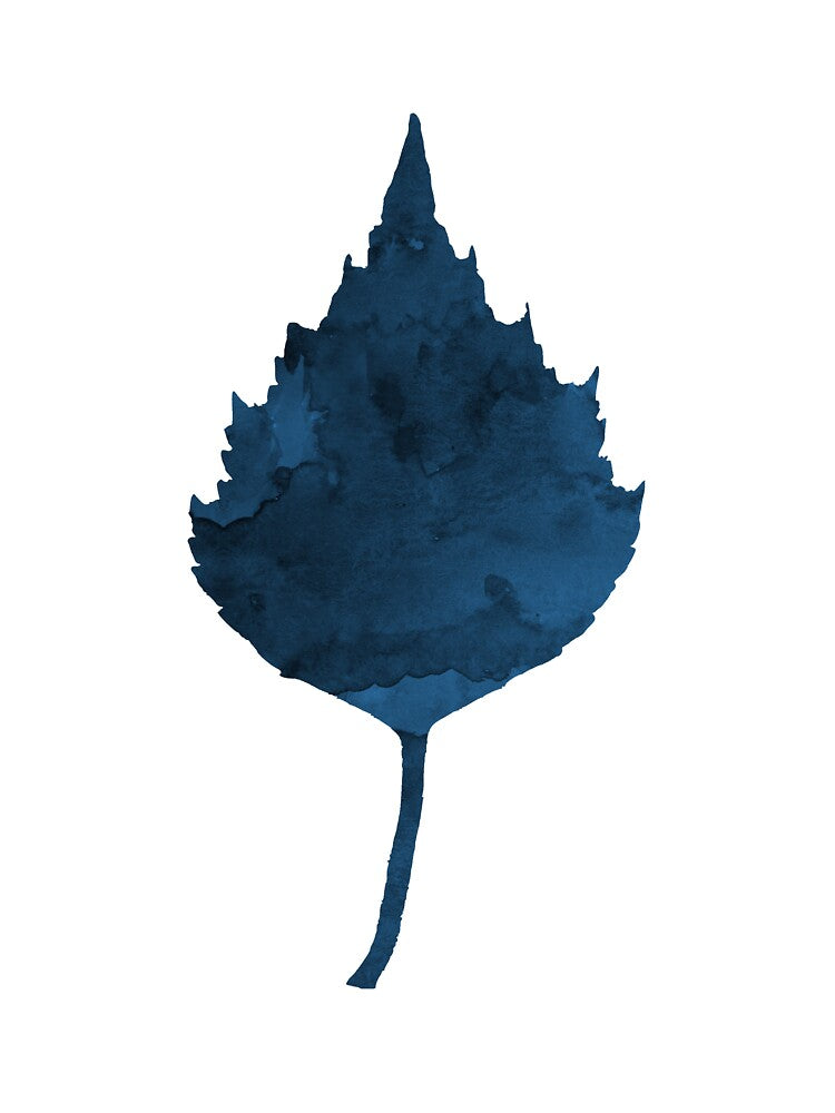 A birch leaf by TheJollyMarten