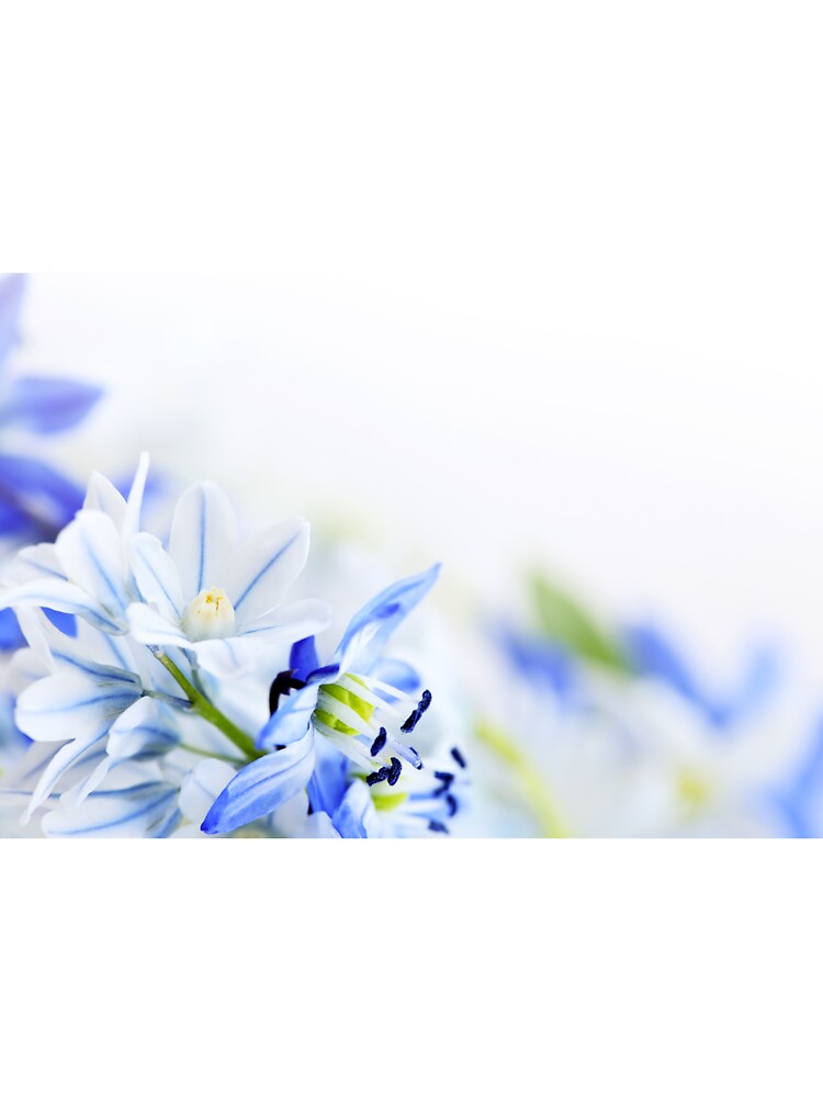 Blue and Yellow Floral Merchandise by cindyfordyce