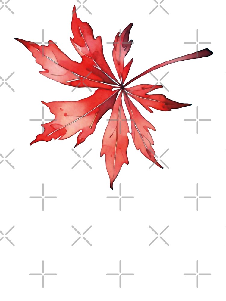 Japanese Maple Red Leaf Watercolor by MoxisWatercolor