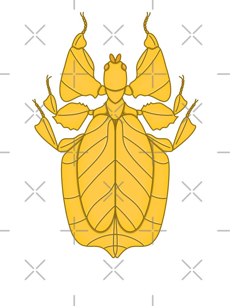 Walking Leaf Insect (Yellow) by buggyfriends