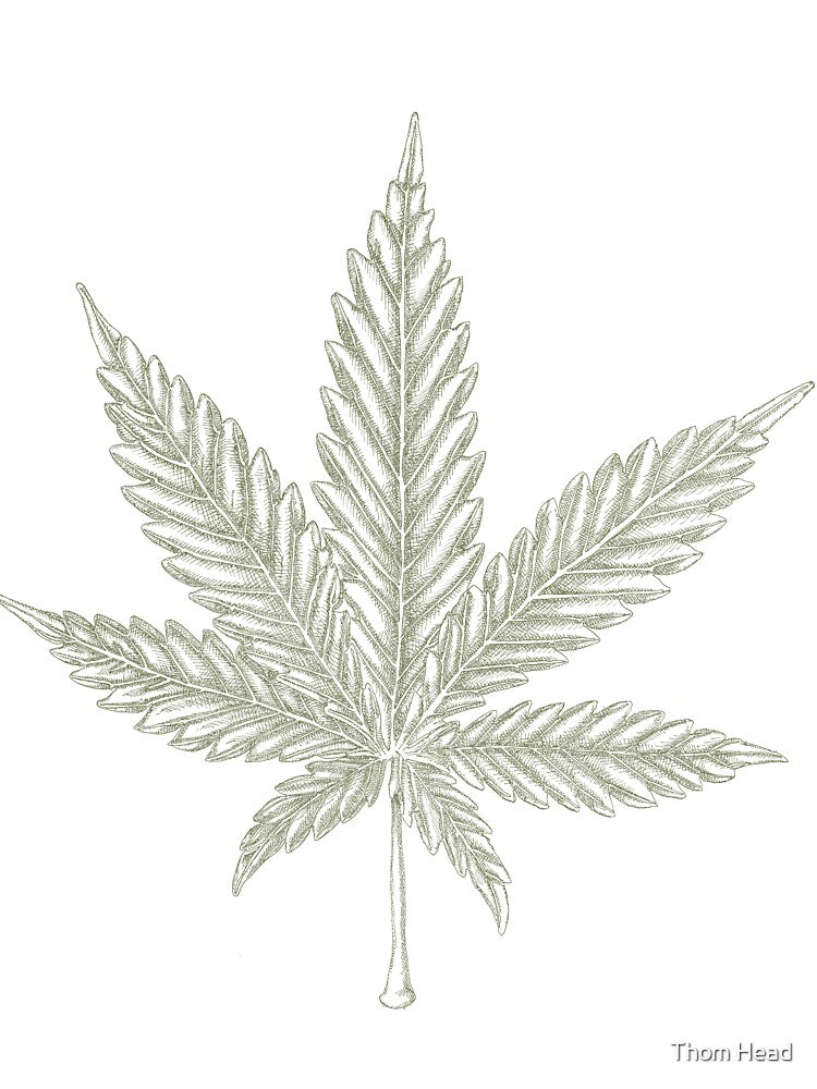 Cannabis Leaf by Thom Head
