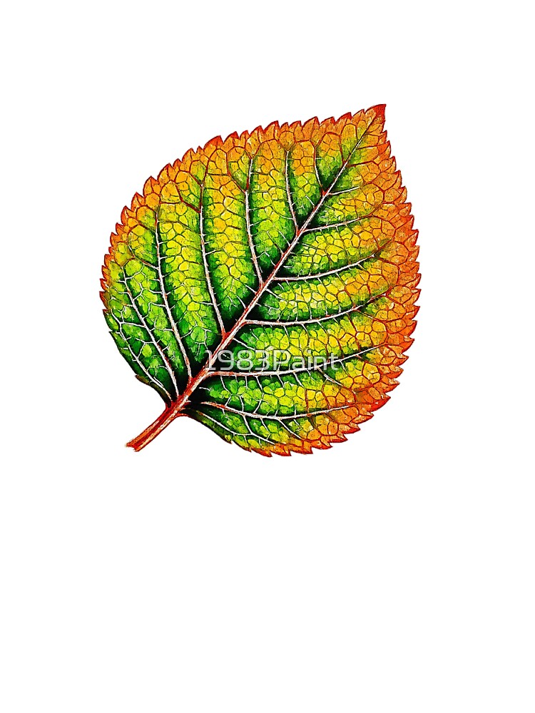 Detailed green and orange watercolor leaf by 1983Paint