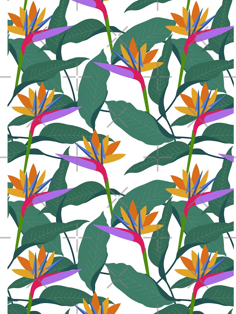 Tropical Bird of Paradise Flowers Pattern by HotHibiscus