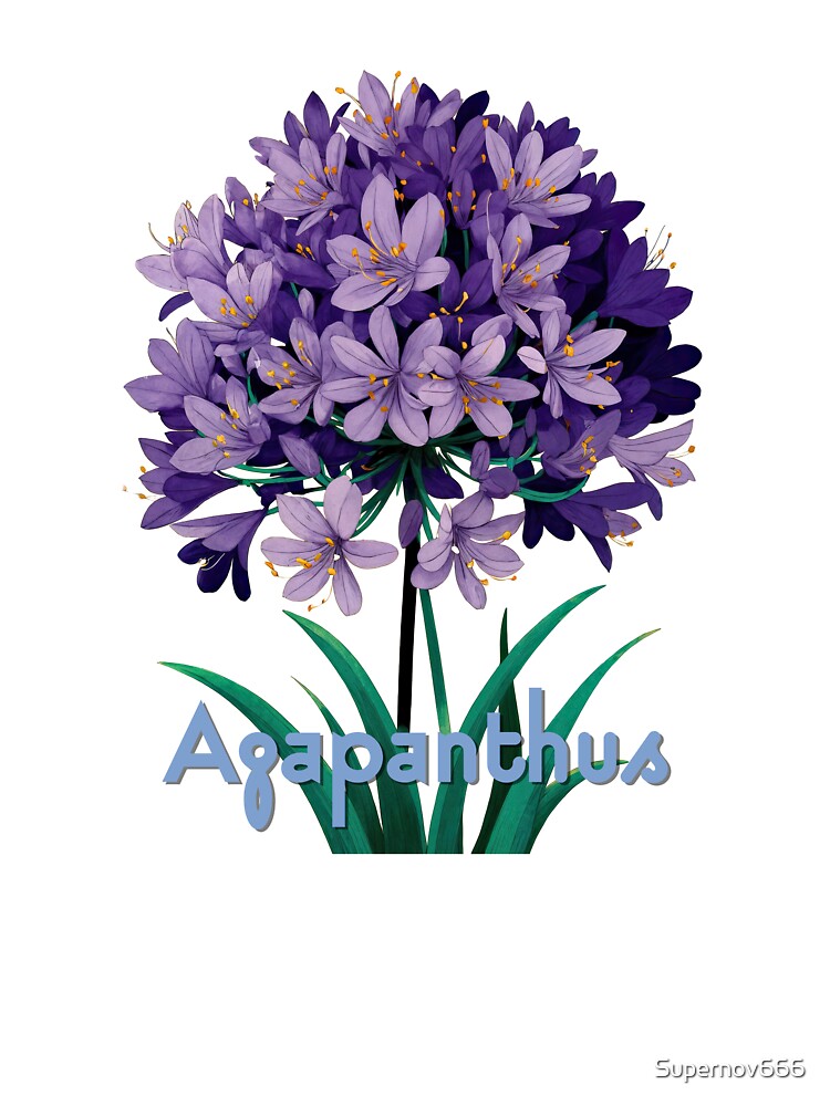 Agapanthus – Vibrant Botanical Elegance by ForeverPrintsOK