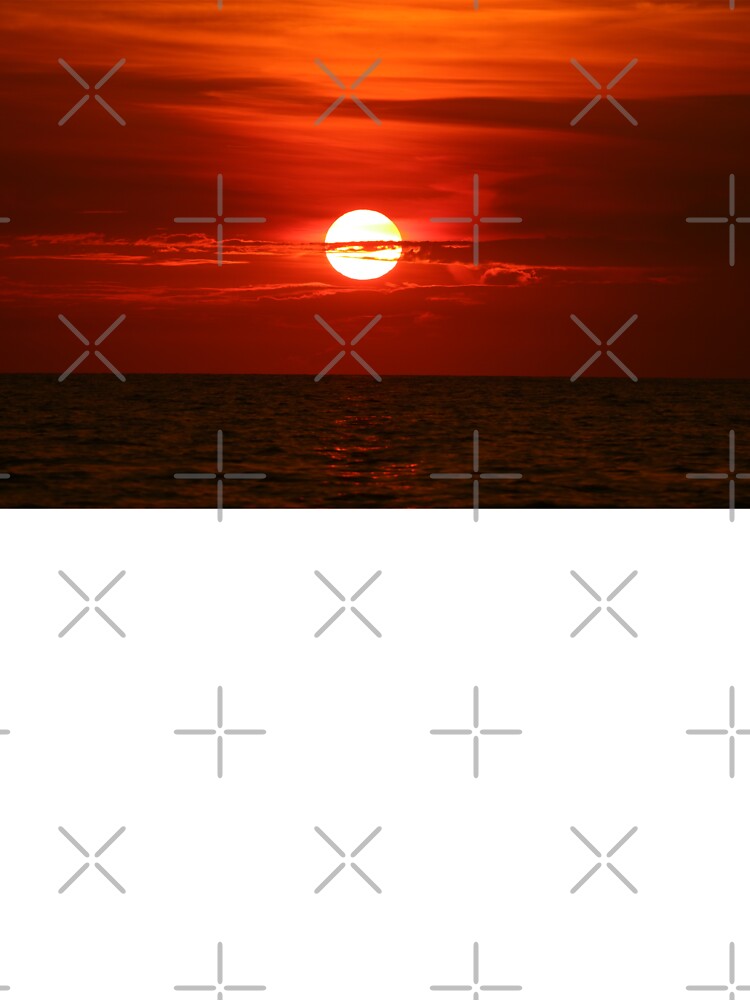 Sunset Landscape by TagCreation