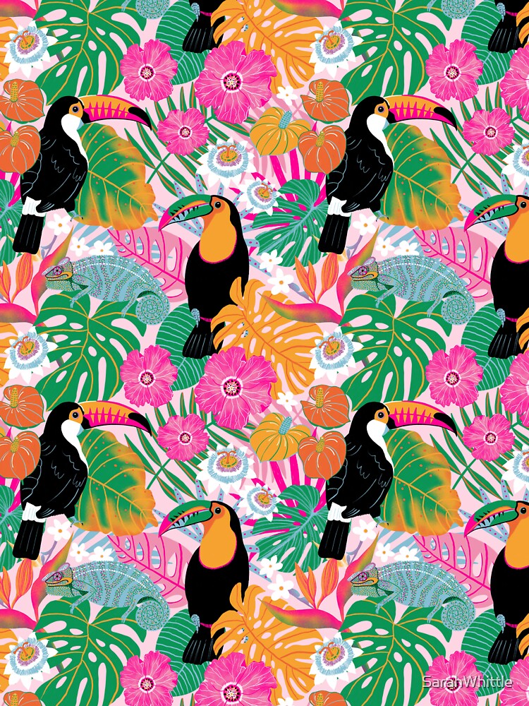 Toucans on Pink by SarahWhittle