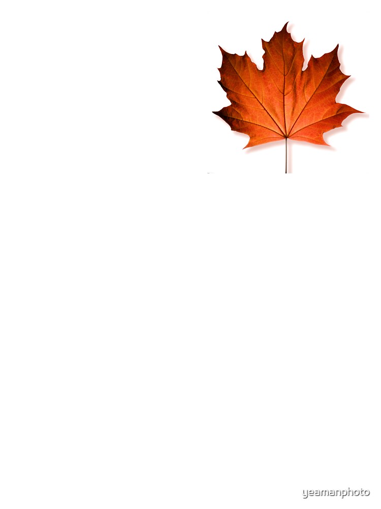 Red Maple Leaf by yeamanphoto