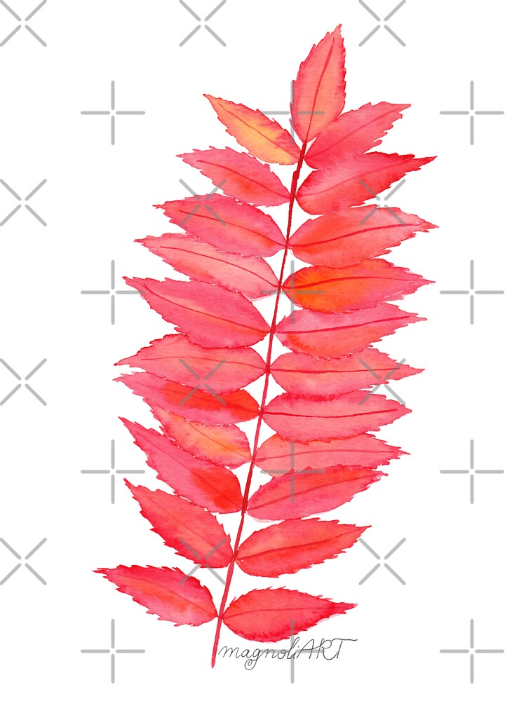 Red Staghorn sumac leaves, botanical watercolor by magnoliART botanical_kata