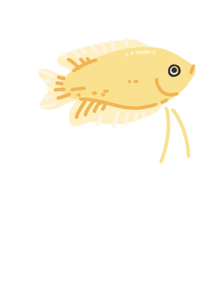 Sunset Honey Gourami by allystermer
