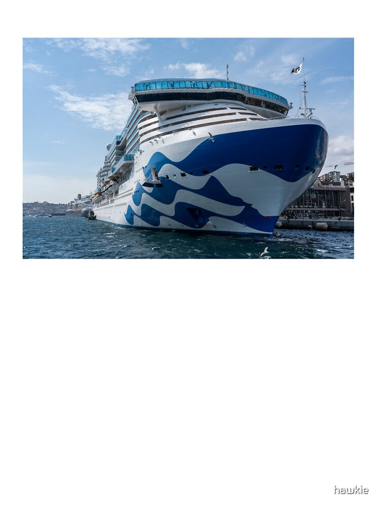 The Sun Princess by hawkie