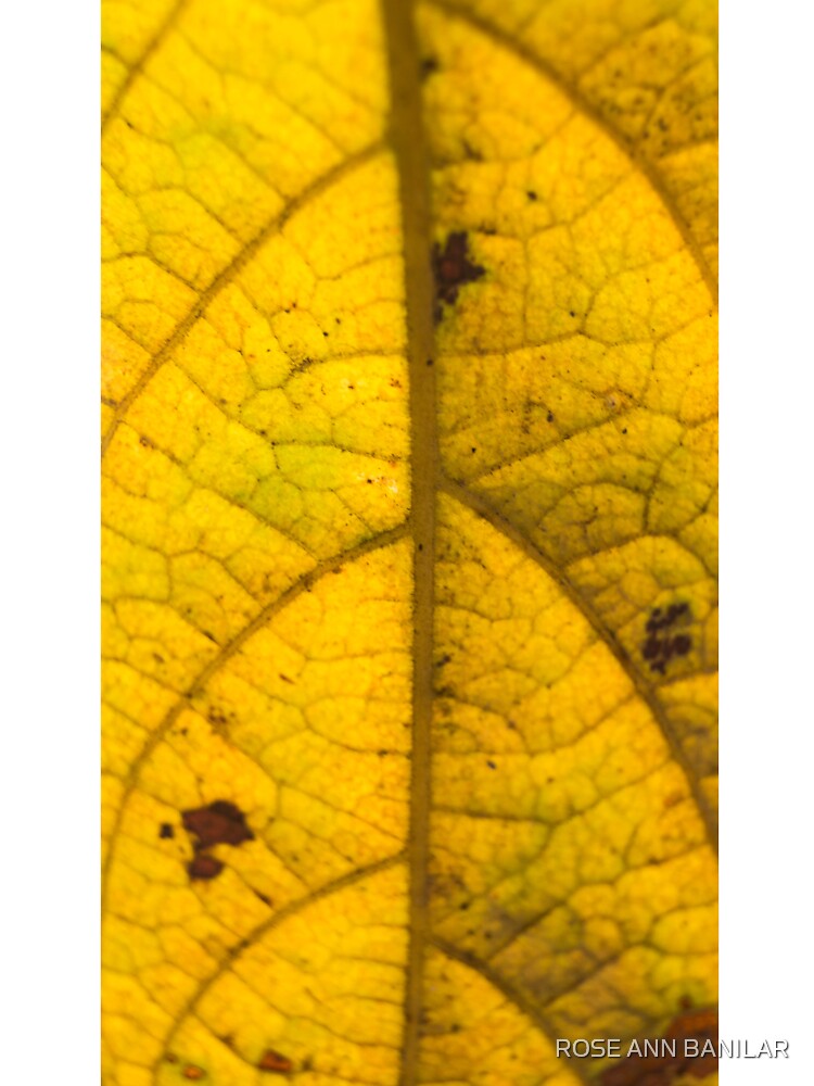 Yellow Leaf by ROSE ANN BANILAR