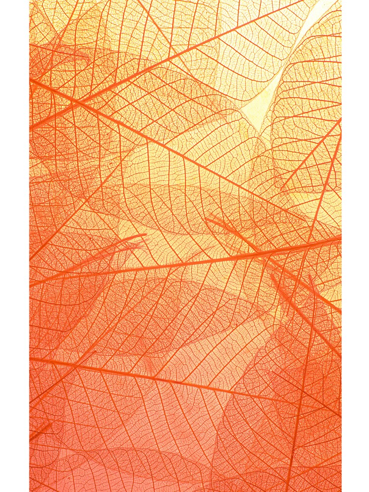 orange leaf pattern by Iskanderox