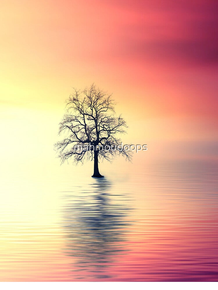 red sunset nature trees by mahmoudoops