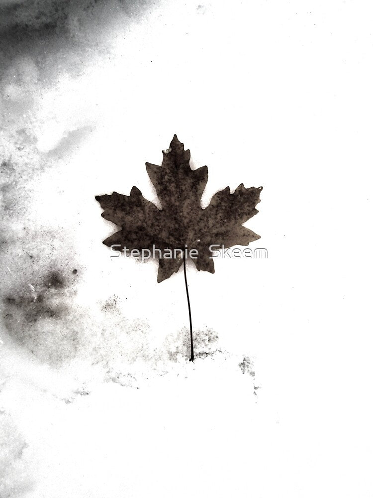 black and white leaf in the snow by Stephanie  Skeem