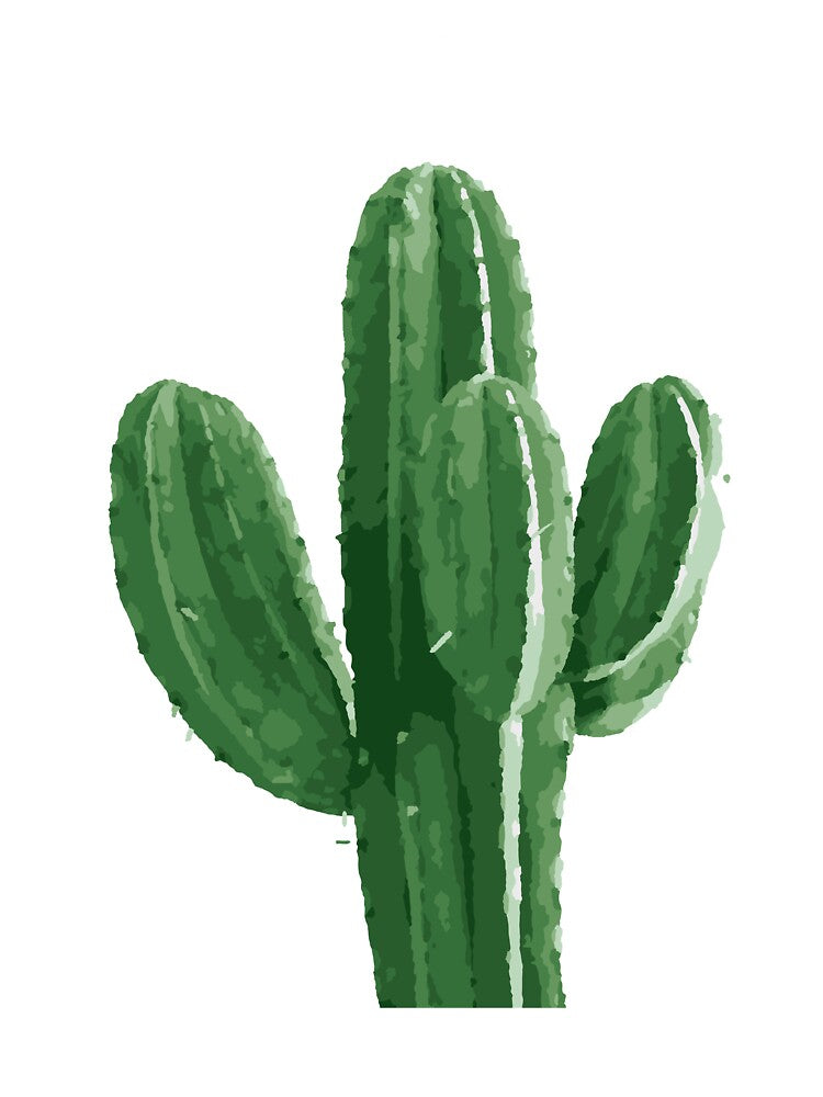Green Cactus Illustration by 3raser15