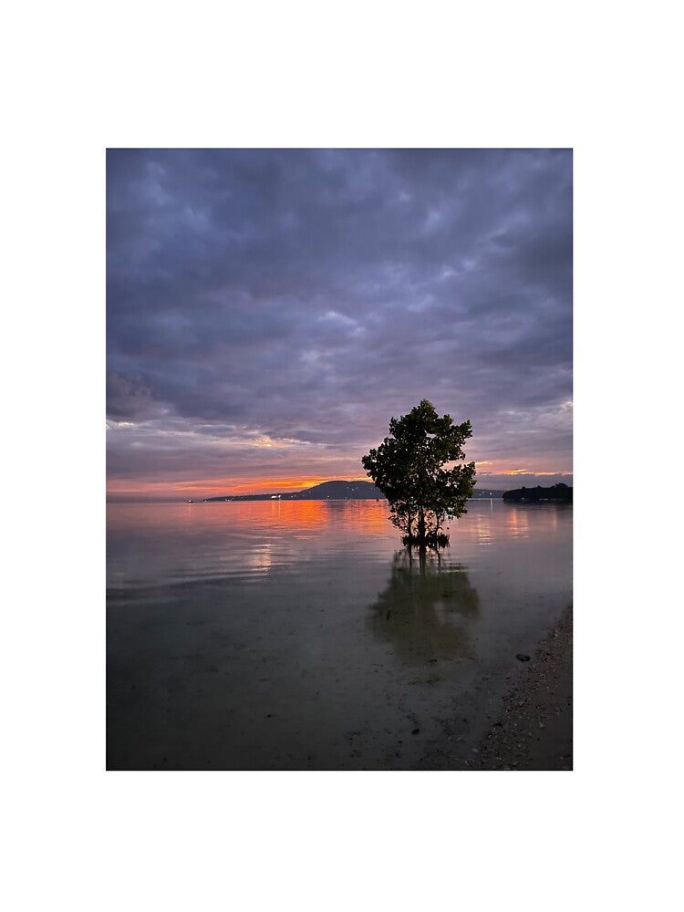 THE SUNSET AND THE TREE 2 by iAmmAja43