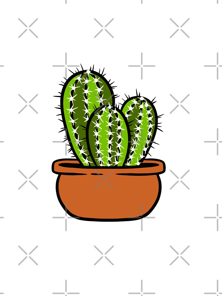 Cactus In A Terra Cotta Pot by mellowgraphics