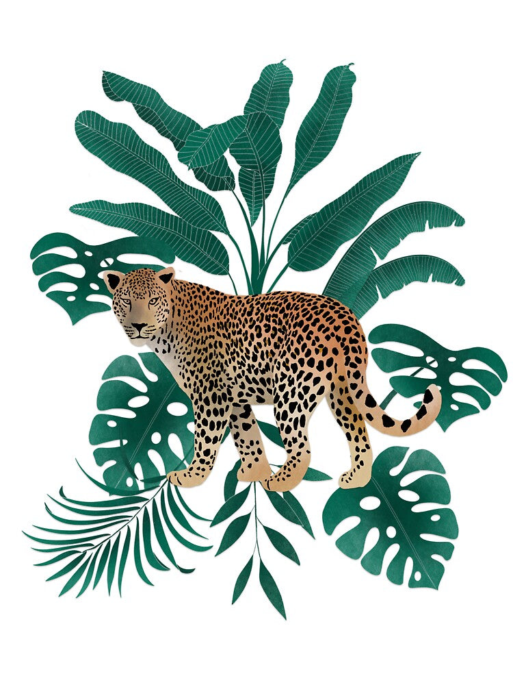 Leopard Collection by Hollyroseart