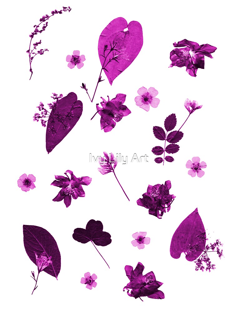 Purple Floral Pattern Pressed Flowers and Leaves by Ivy Lily Art