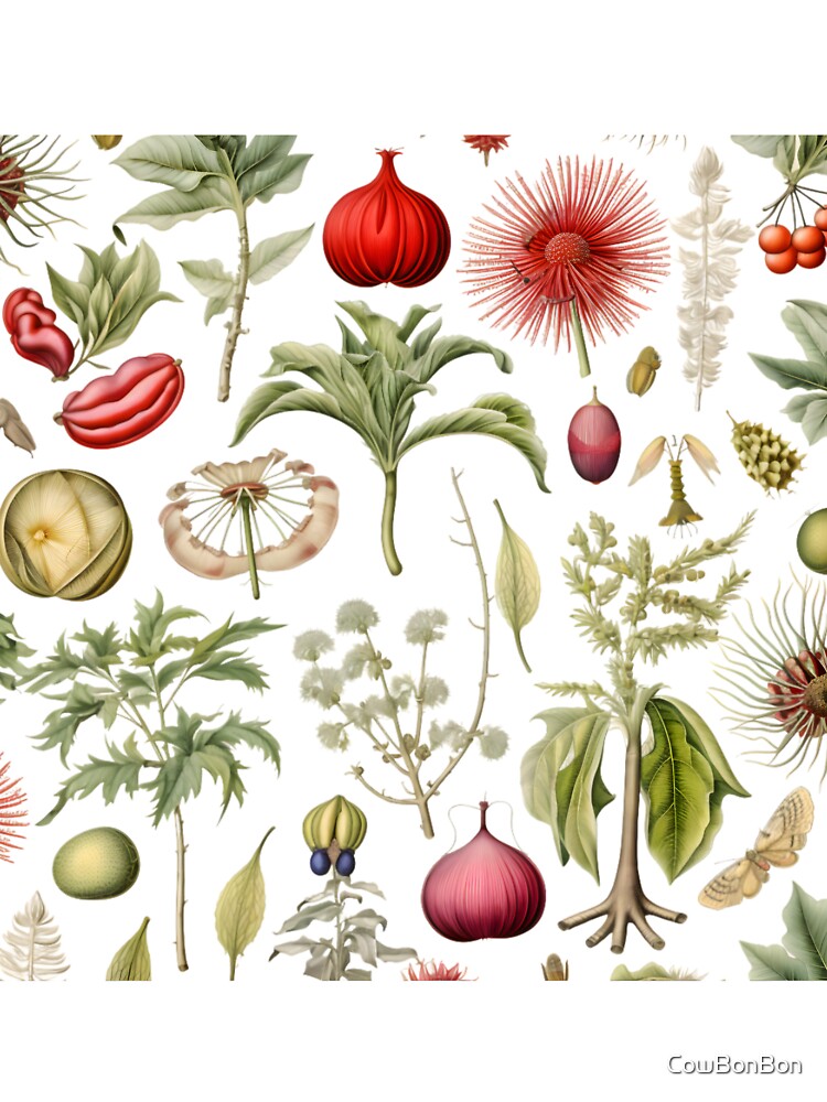 My Secret Garden II. - Vintage Botanical Flower Illustration by CowBonBon