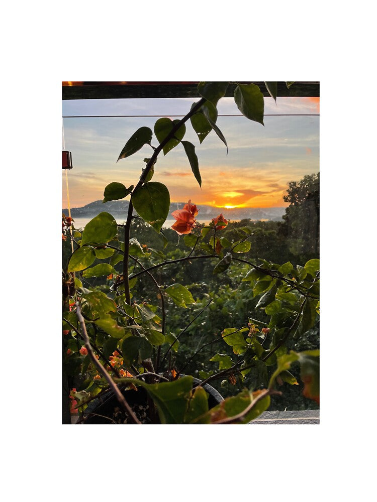 NATURE AND SUNSET by iAmmAja43