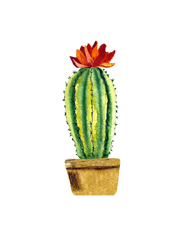 Cactus green brown pot a watercolor sketch by Yana Mustafina | Boho Soulful Designs