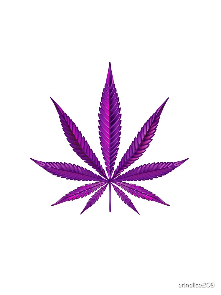 Purple Pot Leaf by erinelise209