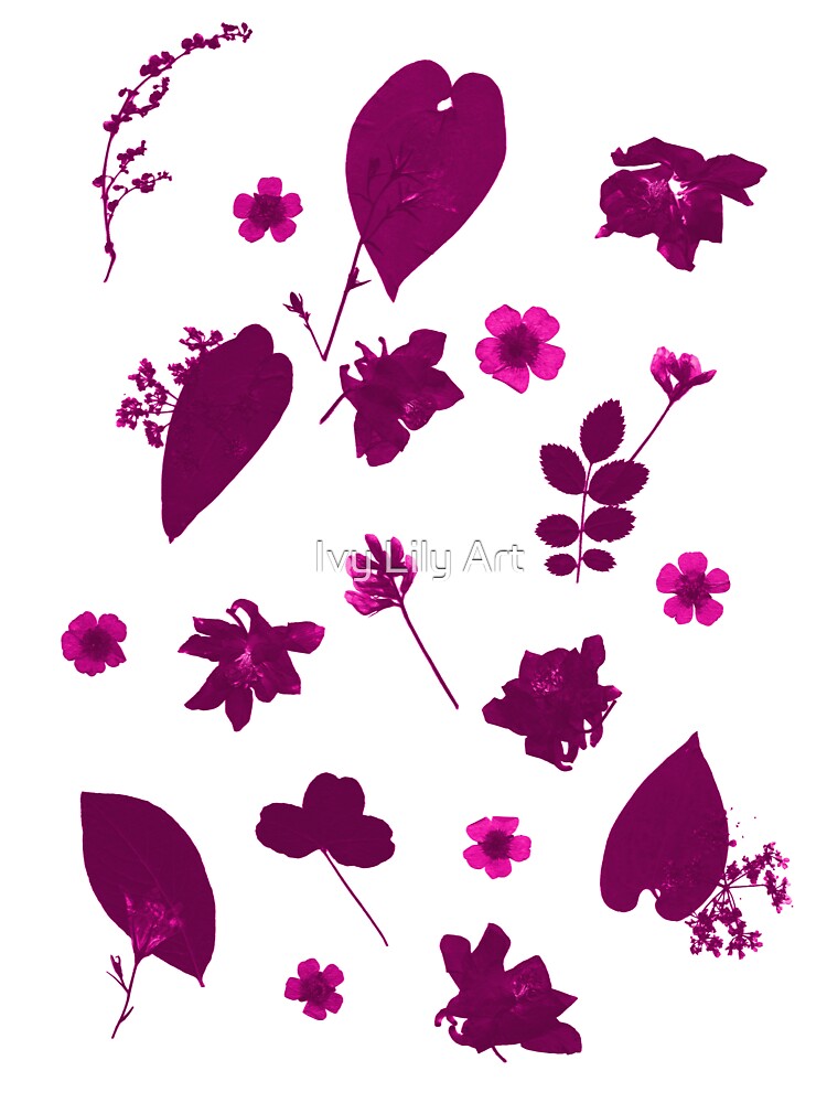 Pink Floral Pressed Flower and Leaf Pattern by Ivy Lily Art